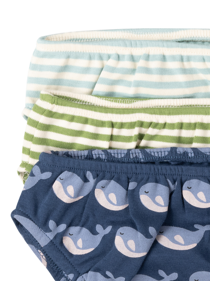 Little Green Radicals Kids' Organic Cotton Briefs, Pack of 3, Blue - view 2, Blue