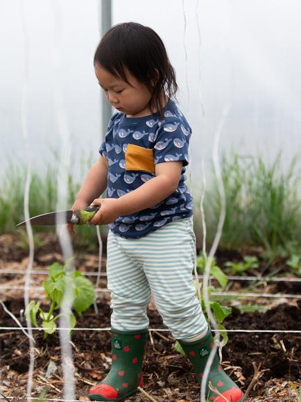 Little Green Radicals Baby Organic Cotton Whale/Stripe T-Shirt & Joggers Set, Blue - view 2, Blue
