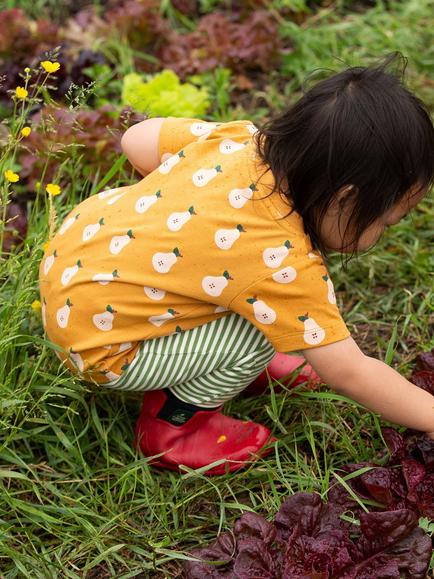 Little Green Radicals Baby Organic Cotton Pear/Stripe T-Shirt & Joggers Set, Gold - view 2, Gold
