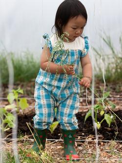 Little Green Radicals Baby Flowers Frill Summer Romper, Blue - view 2, Blue
