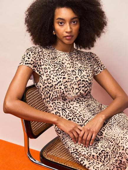Ro&Zo Leopard Print Seam Detail Midi Dress, Brown Multi - view 2, Brown Multi