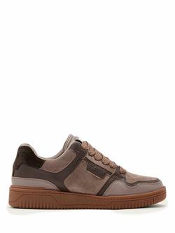 AllSaints Regan Plus Low Top Leather Trainers, Karoo Brown