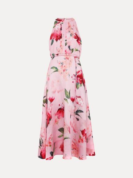 Phase Eight Petite Bethany Sleeveless Floral Midi Dress, Pink, Pink