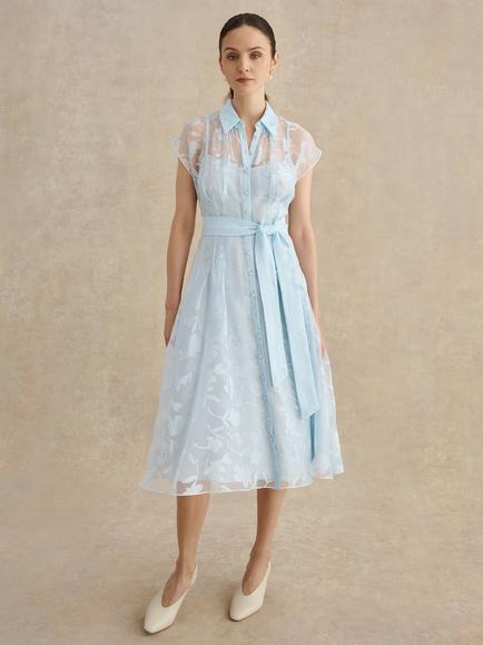 Hobbs Petite Tess Burnout Floral Dress, Blue, Blue