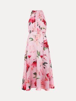 Phase Eight Bethany Sleeveless Floral Midi Dress, Pink - view 2, Pink