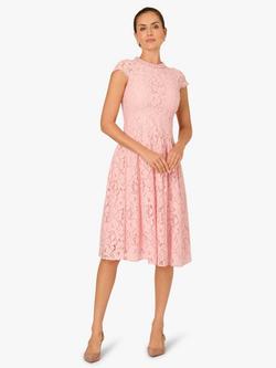 Adrianna Papell Embellished Lace Midi Dress, Blush, Blush