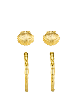 Orelia Shell and Molten Hoop Ear Stacking Set, Pale Gold, Pale Gold