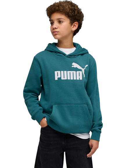 PUMA Kids' Youth Fleece Hoodie, Emerald Ice