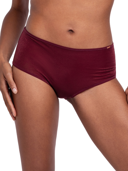 Dorina Origins Shimmer Mesh Midi Briefs, Berry Noir, Berry Noir