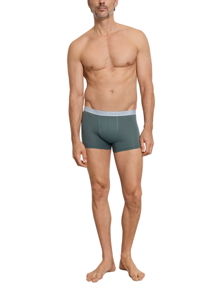 Hanro Essentials Stretch Cotton Pants, Pack of 2 - view 2, Studio Green/Blue