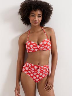 Phase Eight Shell Print Bikini Bottoms, Red, Red
