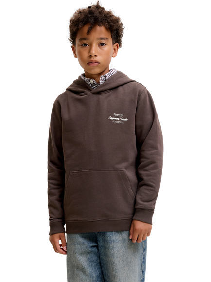 Jack & Jones Kids' Jornor Hoodie, Java, Java