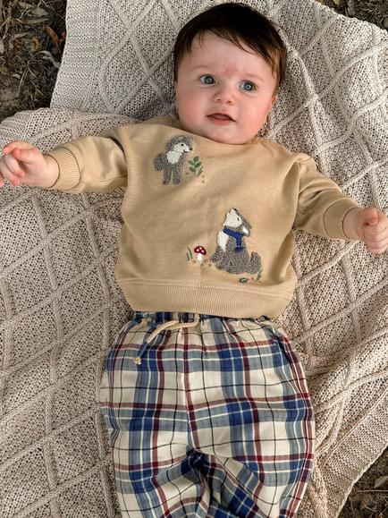 Purebaby Baby Little Wolf Windcheater Jumper, Oatmeal - view 2, Oatmeal