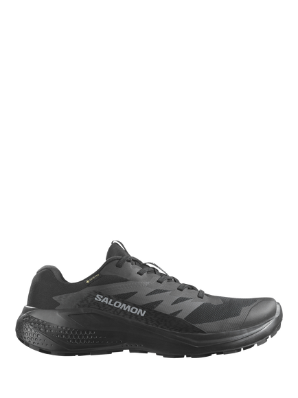 Salomon Alphaglide GTX Hiking Shoes, Black/Asphalt/Black, Black/Asphalt/Black