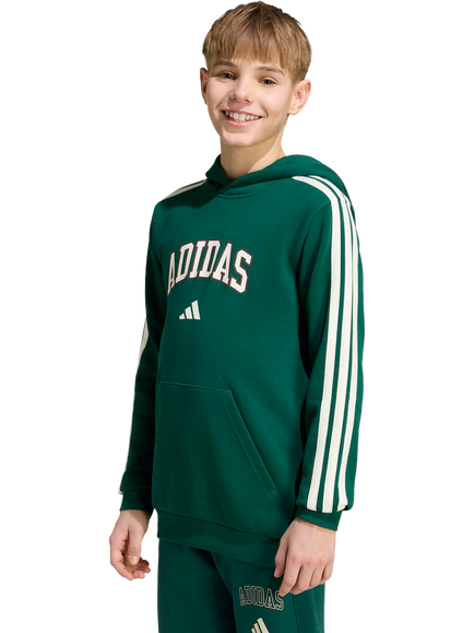 adidas Kids' Codes Graphic Hoodie, Collegiate Green, Collegiate Green
