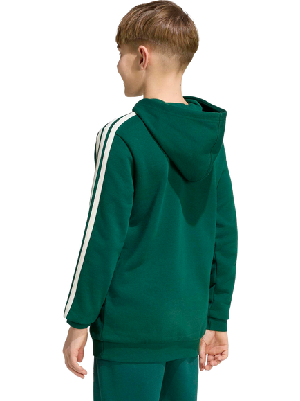 adidas Kids' Codes Graphic Hoodie, Collegiate Green - view 2, Collegiate Green