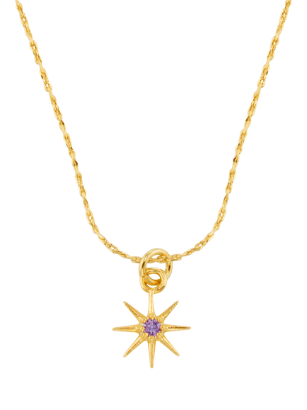 Orelia Birthstone Pendant Necklace, February/Amethyst