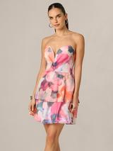 Adrianna Papell Lace Embroidery Mini Dress