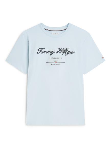 Tommy Hilfiger Script Logo Cotton Crew Neck T-Shirt, Light Blue, Light Blue