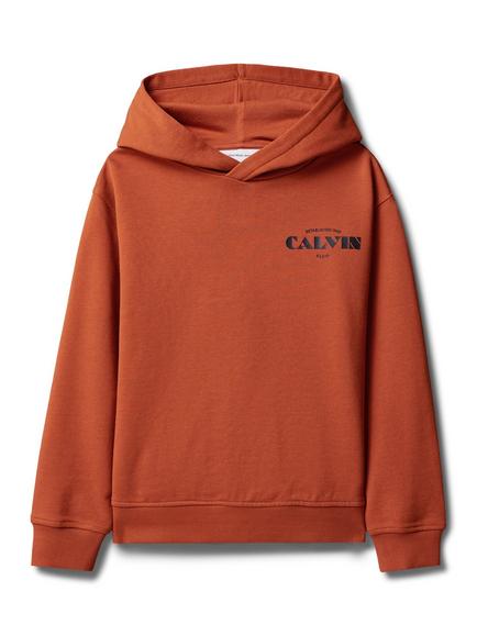 Calvin Klein Kids' Pure Cotton Logo Hoodie, Orange - view 2, Orange