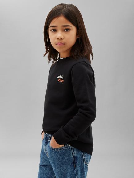 Calvin Klein Kids' Cotton Blend Hoodie, Black, Black