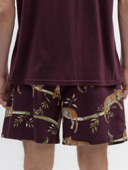 Cyberjammies Leopard Print Cotton Blend Pyjama Shorts, Plum/Multi - view 2, Plum/Multi