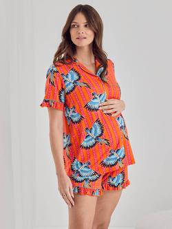 Chelsea Peers Parrot Stripe Print Frill Short Maternity Pyjama Set, Orange, Orange