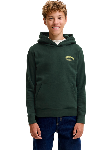 Jack & Jones Kids' Ebrandes Cotton Rich Back Print Hoodie, Scarab, Scarab