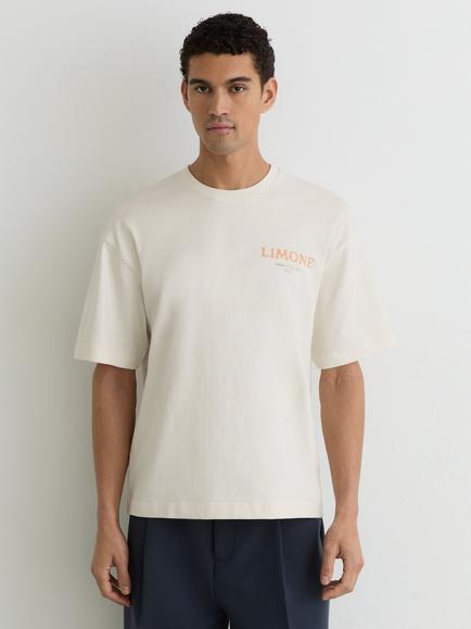 Reiss Calvino Crew Neck Cotton T-Shirt, White, White