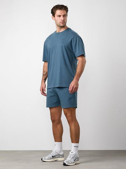Gym King Men's Roam Washed T-Shirt, Mountain Slate