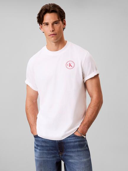 Calvin Klein Cotton Varsity Logo T-shirt, White, White
