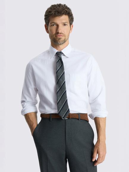 Moss Stripe Cotton Oxford Shirt, Light Blue