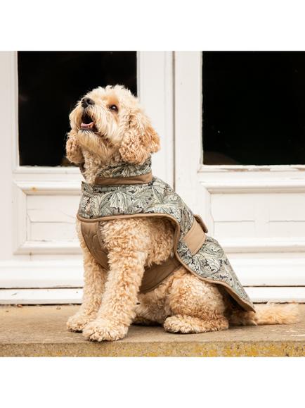 Morris & Co. Acanthus Dog Coat - view 2, Green