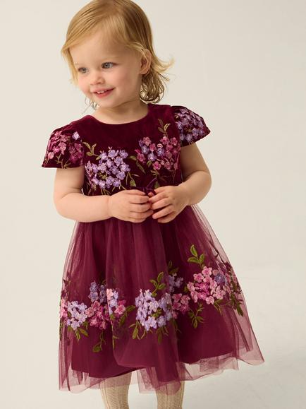 Monsoon Baby Ruby Embroidered Velvet and Tulle Party Dress, Burgundy, Burgundy