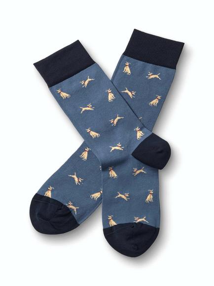 Charles Tyrwhitt Dog Cotton Blend Socks, Steel Blue, Steel Blue