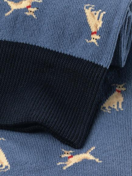 Charles Tyrwhitt Dog Cotton Blend Socks, Steel Blue - view 2, Steel Blue
