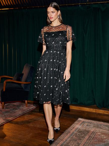 Yumi Embroidered Mesh A-Line Midi Dress, Black, Black