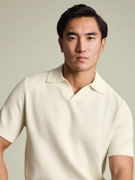 Charles Tyrwhitt Cotton Trophy Neck Knit Texture Polo Top - view 2, Cream