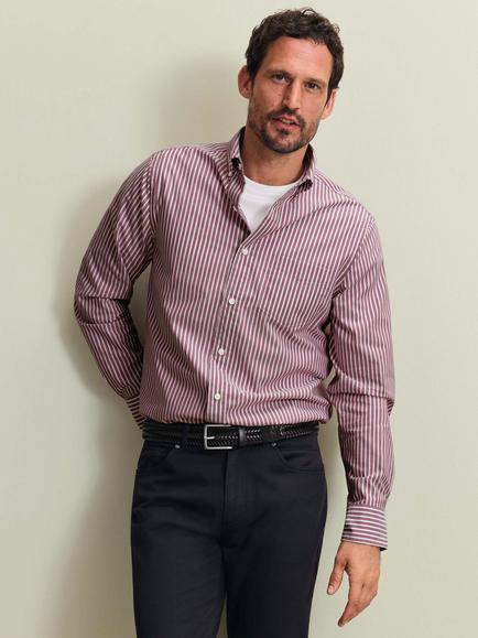 Charles Tyrwhitt Button Down Stripe Cotton Poplin Shirt, Burgundy Red, Burgundy Red