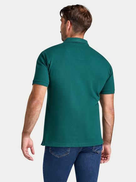 Raging Bull Regular Fit Cotton Polo Shirt, Forest - view 2, Forest