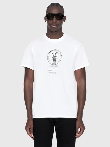 AllSaints Tier Cotton Graphic Crew Neck T-Shirt, White