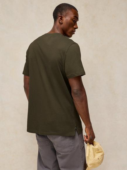 White Stuff Abersoch Cotton Rich Graphic Crew Neck T-Shirt, Green - view 2, Green