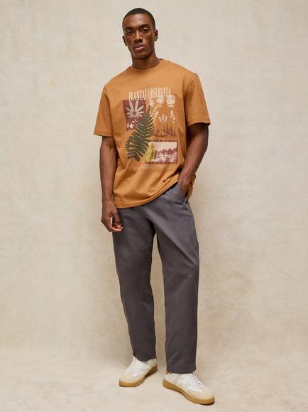 White Stuff Horsham Cotton Rich T-Shirt, Tan, Tan