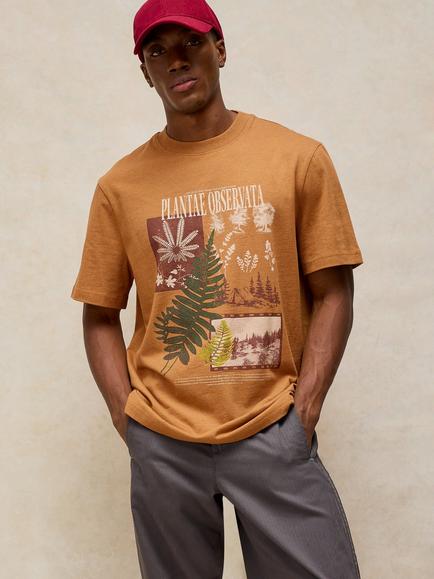 White Stuff Horsham Cotton Rich T-Shirt, Tan - view 2, Tan