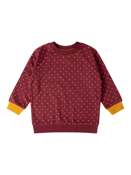 Little Green Radicals Kids' Polka Dot Sweatshirt, Brown/Multi, Brown/Multi