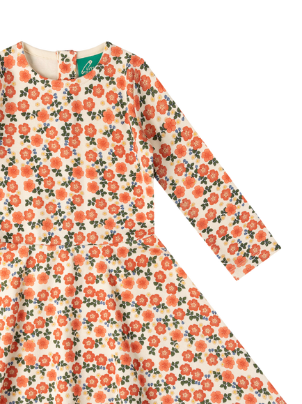 Little Green Radicals Baby Long Sleeve Petal Print Dress, Multi - view 2, Multi
