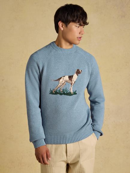 Joules Cotton Rich Dog Jumper, Blue, Blue
