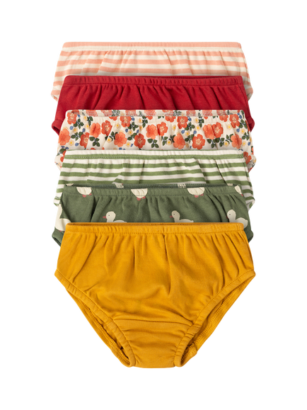Little Green Radicals Kids' GOTS Organic Cotton Underwear Set, Pack of 6, Multi, Multi