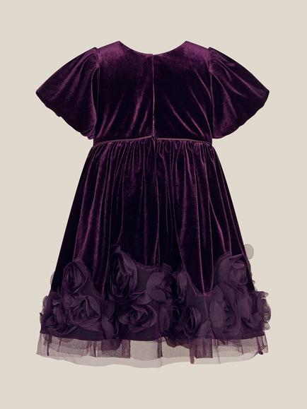 Monsoon Baby Adelyn Rose Appliqué Velvet Party Dress, Purple - view 2, Purple