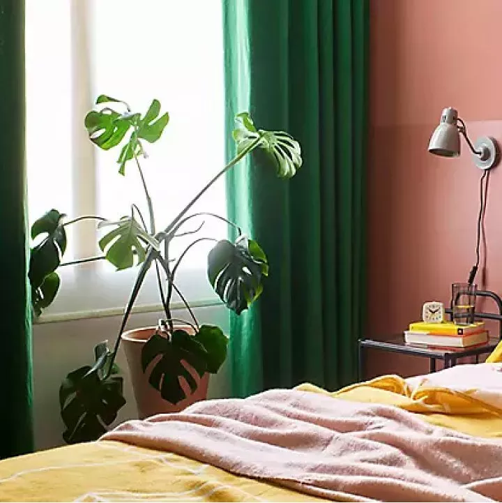 bedroom with burgundy walls and large green plant